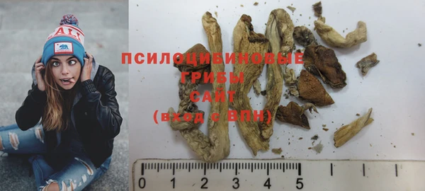 apvp Медвежьегорск