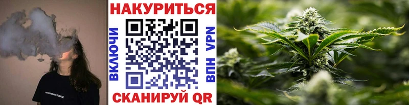 Марихуана план  Елизаветинская 